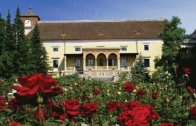 Competitive Intelli9ence Workshop Wien